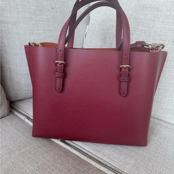 Coach Mollie crossbody bag nwot - Picture 2 of 13